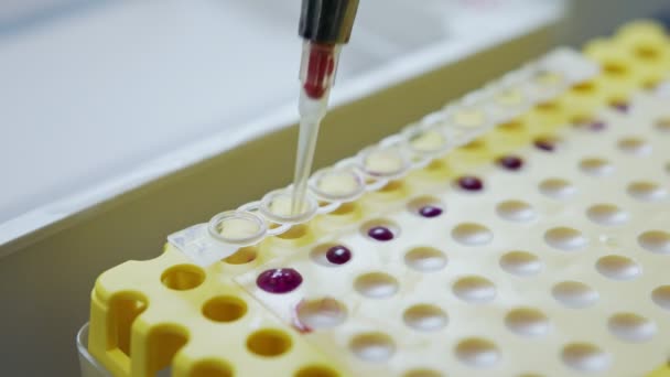 Közelkép egy pipettáról, amit a laborban használnak vérminták gyűjtésére. — Stock videók