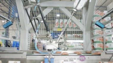 Otomatik robot tatlı patatesleri taşıma bandından ayrıştırma tesisindeki bir kutuya taşıyor.
