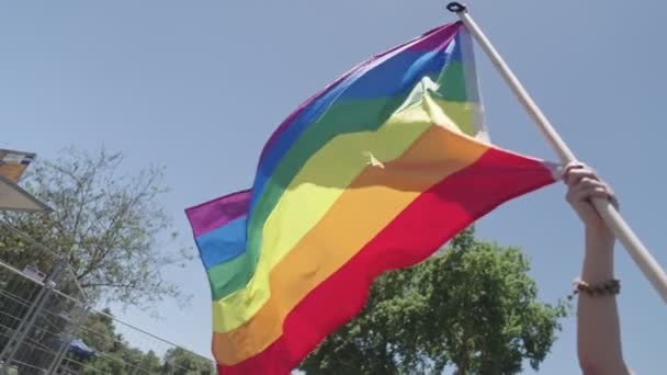 Slow Motion Rainbow Flag Waving Pride Parade — Stock Video