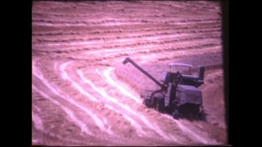 Menashe Heights, Israel, Circa 1940s. Israeli farmers working in fields and plantations