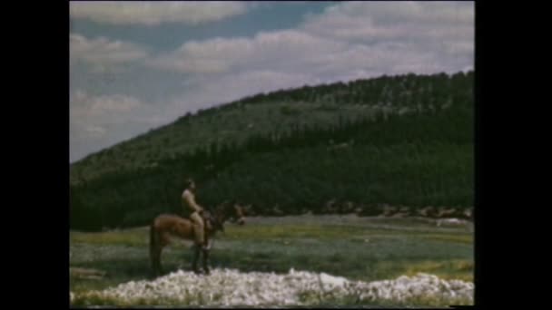 Menashe Heights Israel Circa 1940S Israeli Farmers Herding Sheeps Hills — Αρχείο Βίντεο