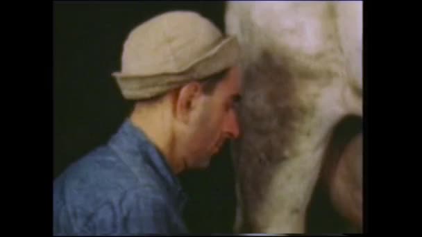 Menashe Heights Israël Rond 1940 Israëlische Boeren Melken Koeien — Stockvideo