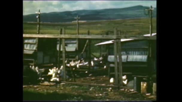 Menashe Heights Israël Rond 1940 Israëlische Boeren Die Velden Plantages — Stockvideo