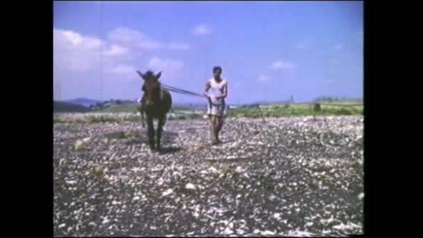 Menashe Heights Israel Circa 1940S Israeli Farmers Working Fields Plantations — Stockvideo