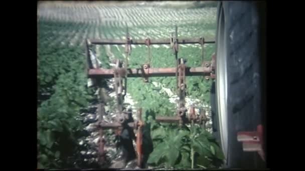 Menashe Heights Israel Circa 1940S Israeli Farmers Working Fields Plantations — стокове відео