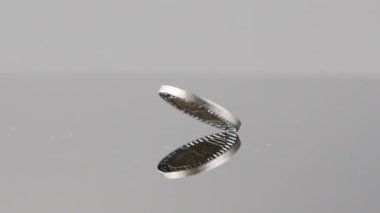 New Israeli Shekels coins falling on a reflective surface