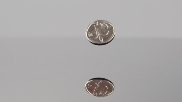 New Israeli Shekels Coins Falling Reflective Surface — Video Stock