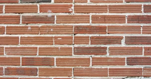 Абстрактні Візерунки Відповідають Текстурам Стара Тріснута Стіна Червоної Цегли — стокове відео