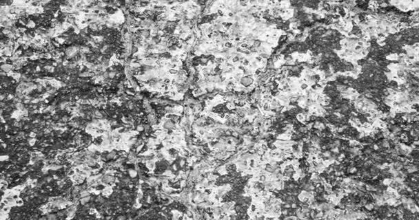 Abstract Close Old Paint Texture Tarmac — Vídeo de stock