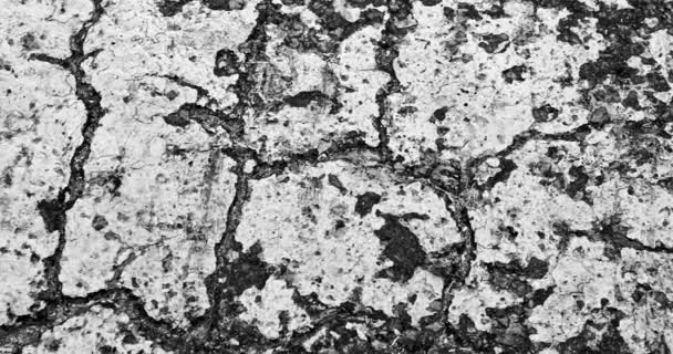 Abstract Close Old Paint Texture Tarmac — Stockvideo