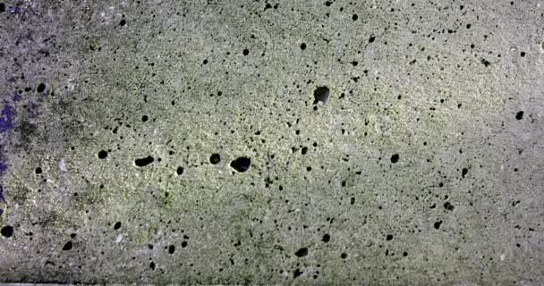 Rotten Unhygienic Grey Grunge Concrete Wall Texture Fungus — Stockvideo
