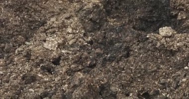 Abstract - piles of manure in a farm silo in close up shots