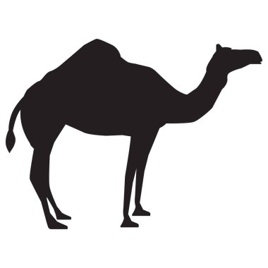 Beyaz arka planda deve ikonu. Deve silueti işareti. düz biçim. 