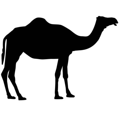 Beyaz arka planda deve ikonu. Deve işareti. düz biçim. 