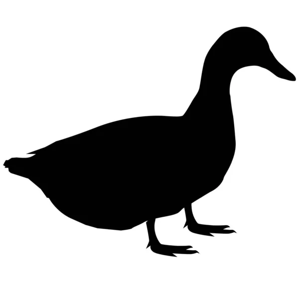 Duck Silhouette White Background Duck Sign Flat Style — Stock Vector