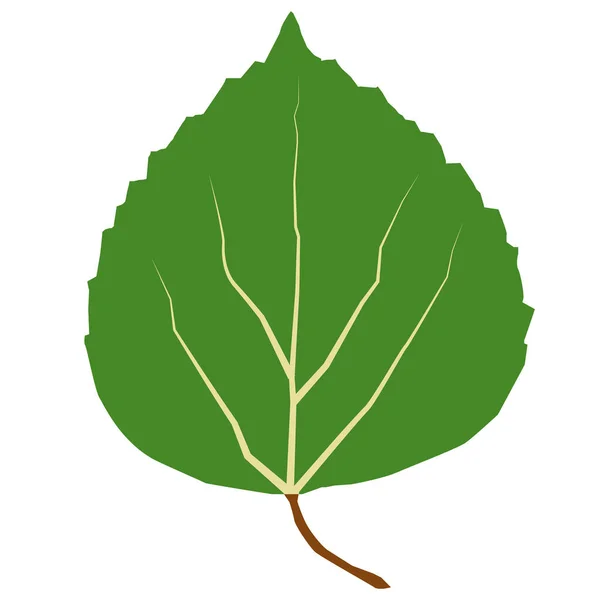 Ikona Osiki Białym Tle Zielony Liść Aspen Styl Płaski — Wektor stockowy
