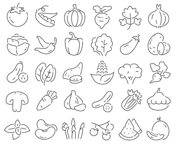 Légumes Ligne Icônes Collection Emballage Icônes Aux Contours Fins Illustration — Photo