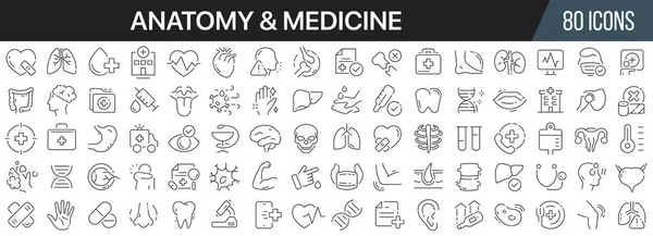 Sbírka Ikon Anatomie Medicíny Velká Ikona Uživatelského Rozhraní Nastavená Plochém — Stock fotografie