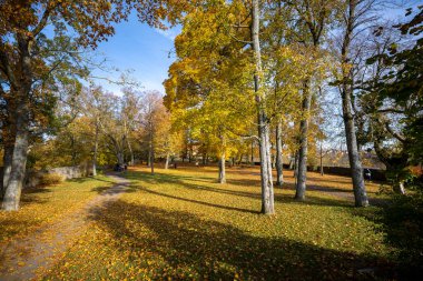 Güzel bir sonbahar parkı. Almanya 'da sonbahar. Sonbahar ağaçları ve yaprakları.