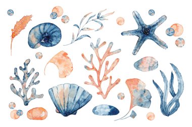 İzole edilmiş nesnelerin suluboya kümesi mavi ve pembe algler ve mercanlar çiziyor.