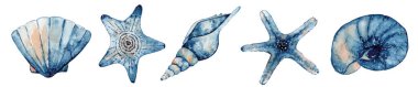 Bir grup deniz yaratığı. Mavi suluboya okyanus yıldızı ve deniz kabuğu