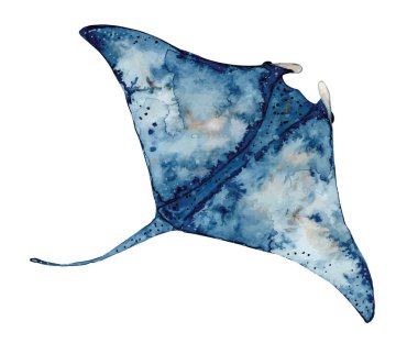 Suluboya el çizimi, mavi renkli ışın balığı, deniz yaşamı