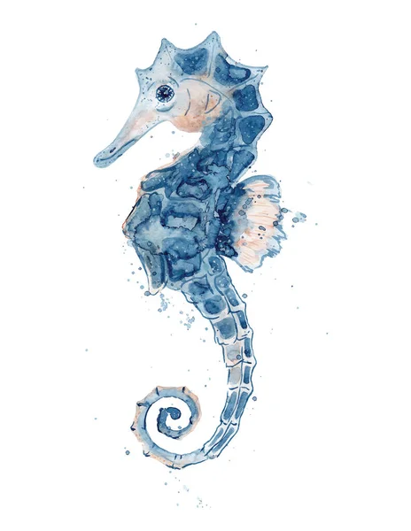 Acuarela caballito de mar ilustración dibujada a mano aislada sobre fondo blanco. Vida marina — Archivo Imágenes Vectoriales