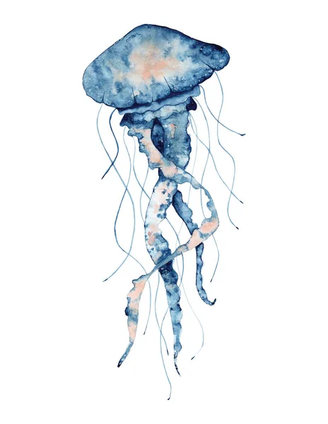 ホワイトを基調にしたクラゲの手描きイラストが描かれた水彩ゴールデンフレーム。海洋生物 — ストックベクタ