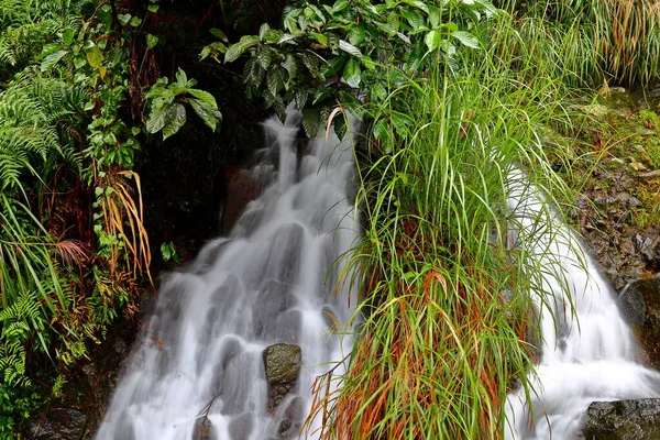 Tributary Creek Sulphur Creek Pobliżu Shanghuangxi Parking Yangmingshan Tajwan — Zdjęcie stockowe