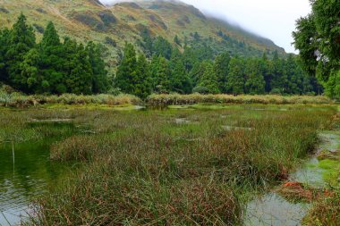 Taipei Yangmingshan Milli Parkı 'ndaki Menghuanhu (Menghuan Gölü).