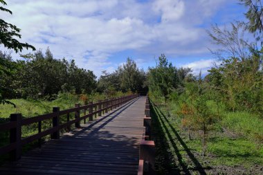 Taitung, doğu Tayvan 'da bulunan Sahil Parkı (deniz kenarı manzaralı)