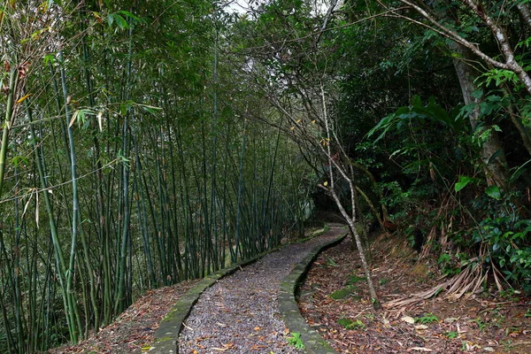 Sandiaoling Wanderweg Sandiaoling Park Taipeh Taiwan — Stockfoto