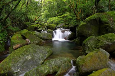 Doğal Qingshan Şelalesi Tayvan 'ın Taipei bölgesindeki Shimen bölgesinde kayalıklarla dolu.
