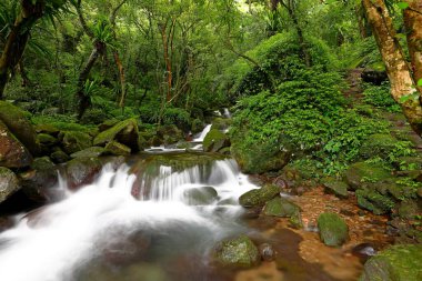 Doğal Qingshan Şelalesi Tayvan 'ın Taipei bölgesindeki Shimen bölgesinde kayalıklarla dolu.