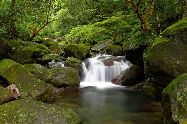 Trilha Natural Qingshan Falls Com Pedregulho Torno Área Shimen Taipei — Fotografia de Stock