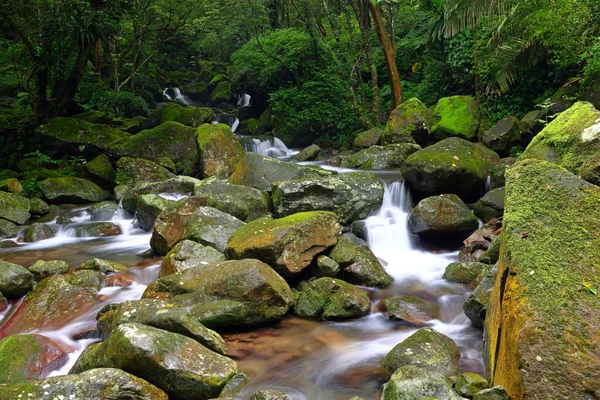 Trilha Natural Qingshan Falls Com Pedregulho Torno Área Shimen Taipei — Fotografia de Stock