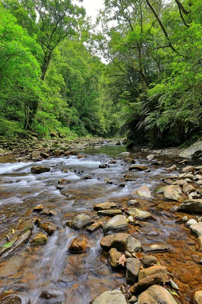 Jingualiao Fish Fern Trail Pinglin Dist New Taipei City Taiwan — Fotografia de Stock