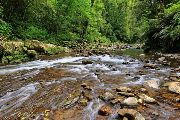 Jingualiao Fish Fern Trail Pinglin Dist New Taipei City Taiwan — Foto Stock