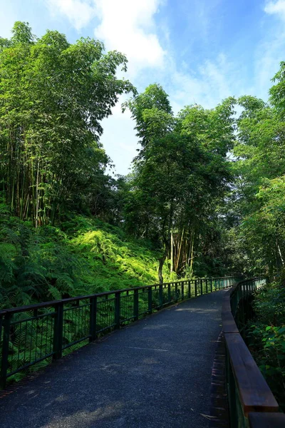 Sun Moon Lake National Scenic Área Yuchi Township Condado Nantou —  Fotos de Stock