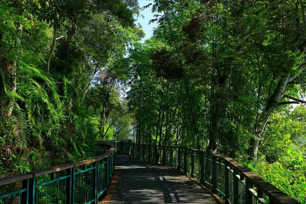 Sun Moon Lake National Scenic Área Yuchi Township Condado Nantou —  Fotos de Stock