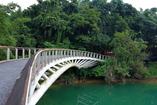 Die Yongjie Brücke Sun Moon Lake National Scenic Area Gemeinde — Stockfoto