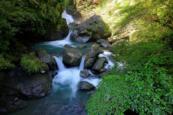 Manyueyuan National Forest Recreation Area Новому Тайбеї Тайвань — стокове фото