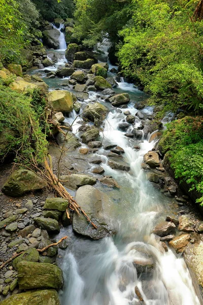 Manyueyuan National Forest Recreation Area Новому Тайбеї Тайвань — стокове фото