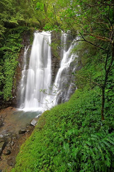 Área Recreação Florestal Nacional Manyueyuan Nova Taipei Taiwan — Fotografia de Stock