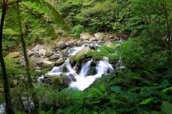 Manyueyuan National Forest Recreation Area Nowym Tajpej Tajwan — Zdjęcie stockowe