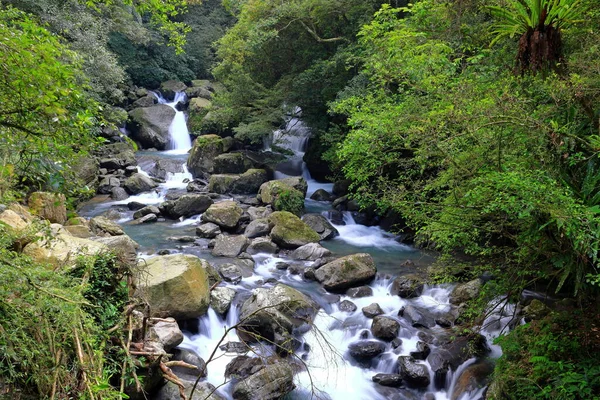 Manyueyuan National Forest Recreation Area Nowym Tajpej Tajwan — Zdjęcie stockowe