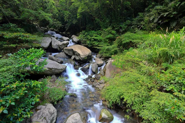 Manyueyuan National Forest Recreation Area Новому Тайбеї Тайвань — стокове фото