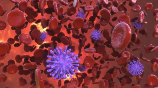 Coronavirus attacks blood cells. Close-up of a virus in the blood under a microscope. The concept of the SARS-CoV-2 COVID-19 pandemic. Realistic high quality medical 3D animation. — Video