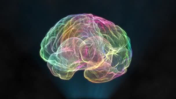 Animación Wireframe 3D del cerebro humano. Modelo cerebral rotatorio con pulsos de arco iris de red neuronal que muestran una lluvia de ideas de la actividad neuronal. Inteligencia artificial. Animación 3d Loopable. — Vídeo de stock