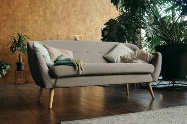 Modern oturma odasında yastıklı gri kanepe. İçi yeşil bitkilerle dolu..